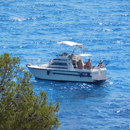 Bed & Breakfast Les Bruyeres Saint-Mandrier-sur-Mer
