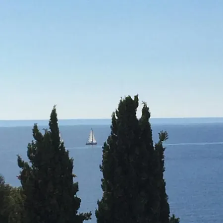 Les Bruyeres * Saint-Mandrier-sur-Mer
